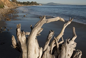 USA, North America, California