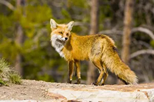 USA, North America, Colorado