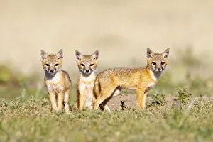 USA, North America, Colorado