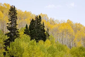 Images Dated 29th September 2009: USA, North America, Colorado