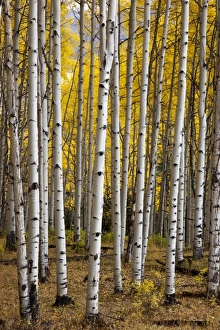 USA, North America, Colorado