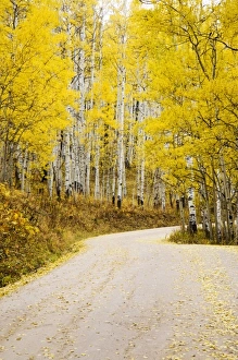 USA, North America, Colorado
