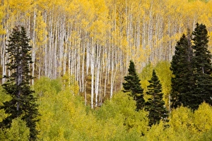 USA, North America, Colorado