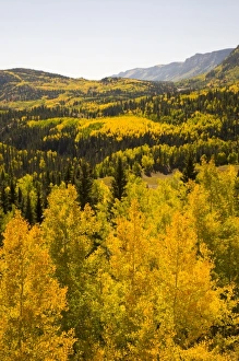 Images Dated 27th September 2009: USA, North America, Colorado