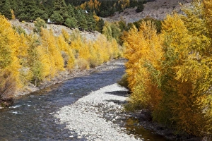 Images Dated 30th September 2009: USA, North America, Colorado