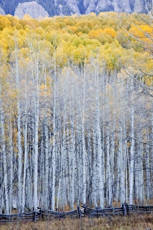 Images Dated 29th September 2009: USA, North America, Colorado