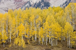 USA, North America, Colorado
