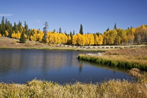 Images Dated 29th September 2009: USA, North America, Colorado