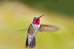 USA, North America, Colorado