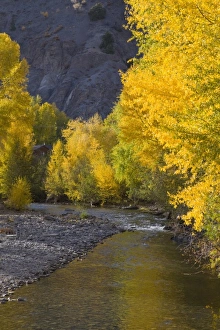 Images Dated 30th September 2009: USA, North America, Colorado