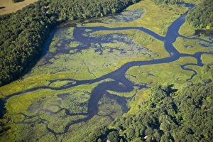 Wet Land Prints: USA, North America, Connecticut