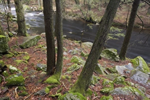 USA, North America, Connecticut