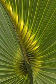USA, North America, Florida