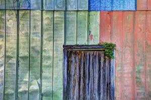 Images Dated 12th August 2012: USA; North America; Florida; Apalachicola; Colorful old tin shed with wooden door