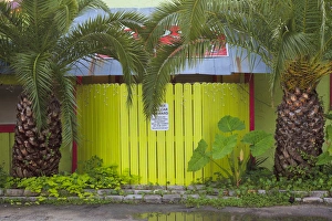 USA; North America; Florida; Apalachicola; Green fence wooden with palm trees