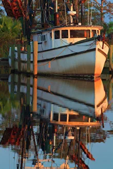 Fish Prints: USA; North America; Florida; Apalachicola; Shrimp boat docked at harbor