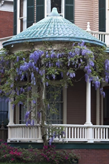 Images Dated 7th April 2010: USA, North America, Georgia, Savannah. Wisteria blooming on a Victorian home