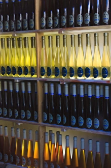 Bottle Prints: USA; North America; Georgia; Savannah; Bottles of honey in window of store