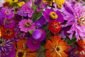 Images Dated 23rd June 2012: USA; North America; Georgia; Savannah; Bouquet of colorful flowers at market. (PR)