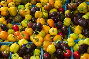USA; North America; Georgia; Savannah; Fresh colorful organic peppers at a Farmer s