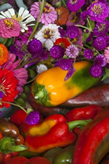 USA; North America; Georgia; Savannah; Fresh colorful organic vegetables and flowers