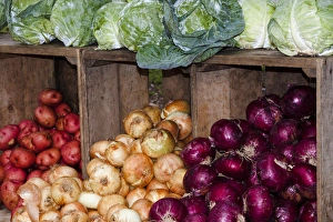 USA; North America; Georgia; Savannah; Fresh colorful vegetables at a Farmer s