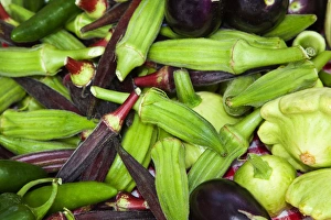 USA; North America; Georgia; Savannah; Fresh organic vegetables at a Farmers Market