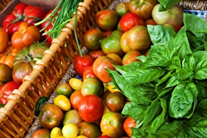 Basil Prints: USA; North America; Georgia; Savannah; Tomatoes and basil at Farmers Market. (PR)