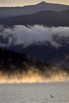 Images Dated 9th February 2010: USA, North America, Idaho