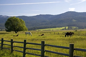 Images Dated 21st June 2008: USA, North America, Idaho