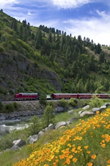 Images Dated 19th June 2010: USA, North America, Idaho