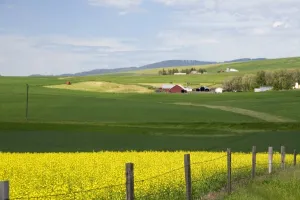 Images Dated 21st June 2008: USA, North America, Idaho