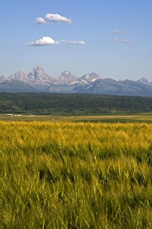 USA, North America, Idaho