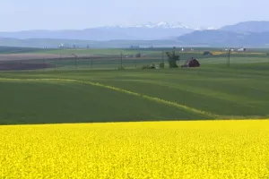 Images Dated 21st June 2008: USA, North America, Idaho