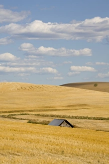 Images Dated 8th September 2007: USA, North America, Idaho