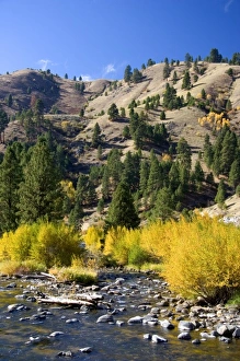 Images Dated 22nd October 2006: USA, North America, Idaho