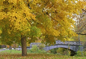 USA, North America, Indiana