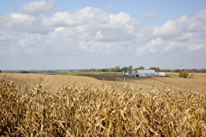 Images Dated 13th October 2011: USA, North America, Iowa