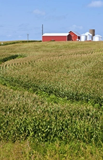 Images Dated 2028 August: USA, North America, Iowa