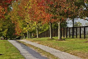 Lexington Prints: USA, North America, Kentucky