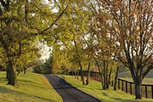 USA, North America, Kentucky