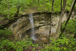 Images Dated 12th May 2006: USA, North America, Kentucky