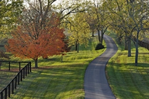 Images Dated 29th October 2008: USA, North America, Kentucky