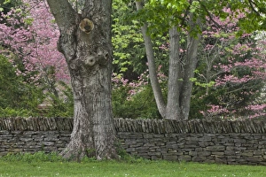 Images Dated 19th April 2011: USA, North America, Kentucky