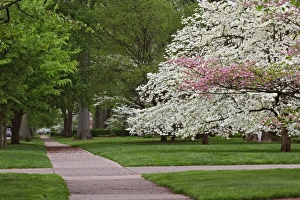 Images Dated 18th April 2006: USA, North America, Kentucky