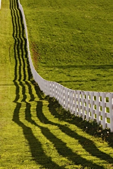 Images Dated 16th April 2005: USA, North America, Kentucky