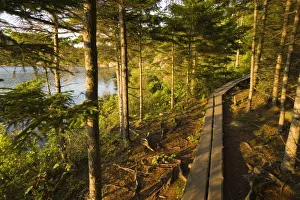 USA, North America, Maine