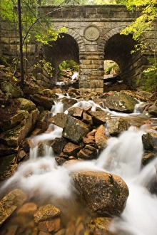 USA, North America, Maine