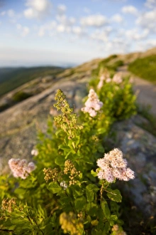USA, North America, Maine