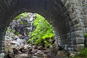 Images Dated 25th June 2011: USA, North America, Maine